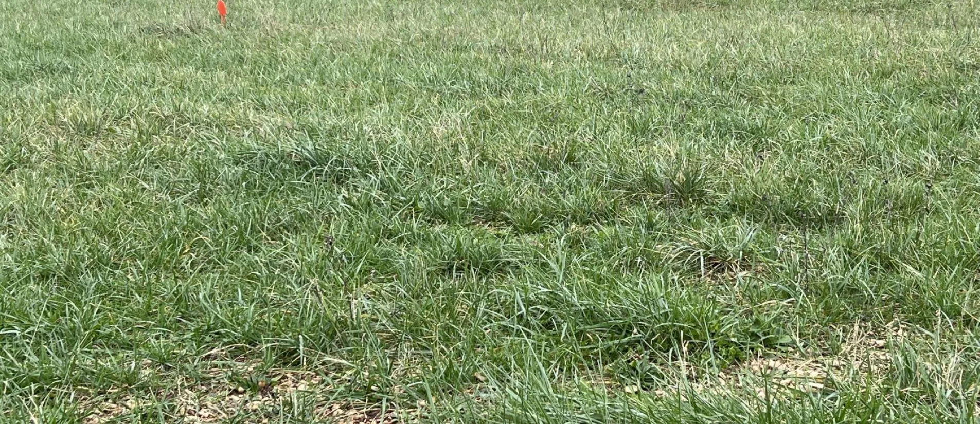 Maison de  89.73 m² sur un terrain de 777 m² à MANSLE en CHARENTE (16).
