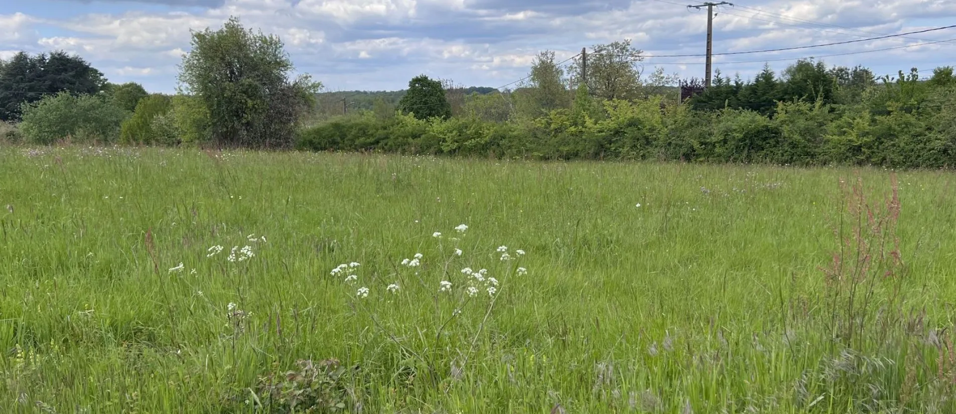 Maison de  89.73 m² sur un terrain de 1300 m² à SAINT-GERMAIN-DE-MONTBRON en CHARENTE (16).
