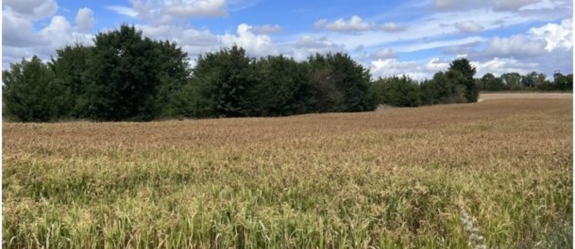 Maison de  89.73 m² sur un terrain de 427 m² à GOND-PONTOUVRE en CHARENTE (16).
