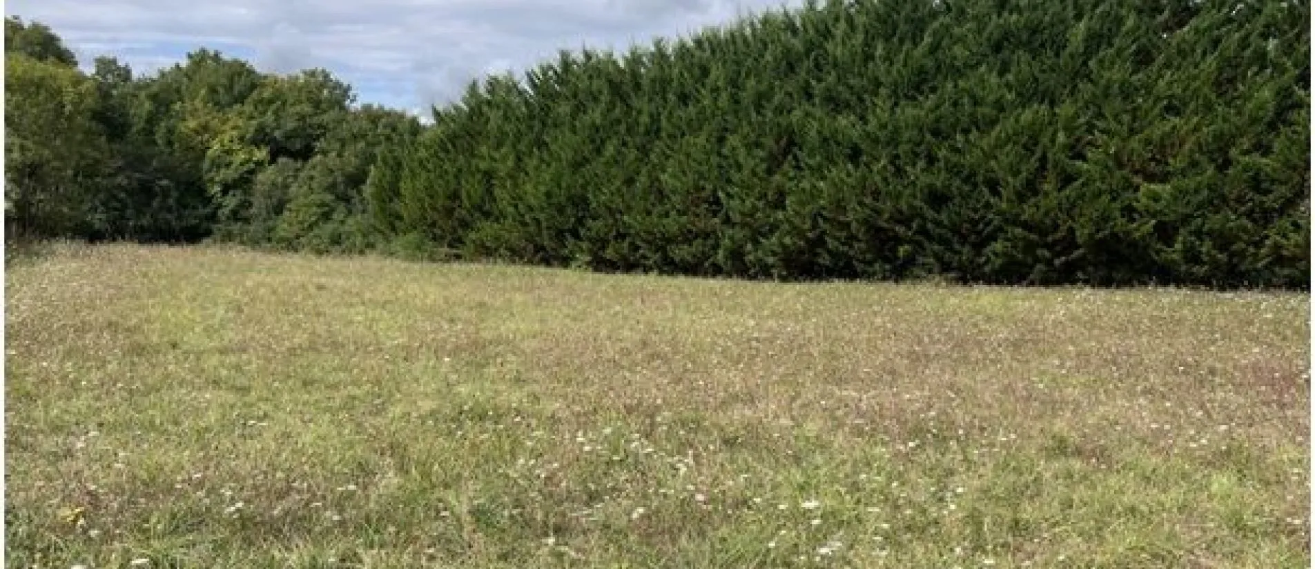 Maison de  89.73 m² sur un terrain de 2175 m² à MAINE-DE-BOIXE en CHARENTE (16).
