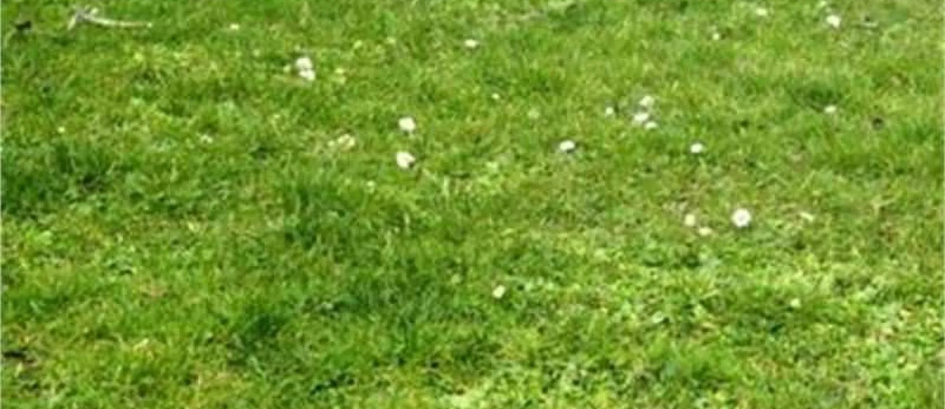 Maison de  89.73 m² sur un terrain de 601 m² à PETOSSE en VENDEE (85).
