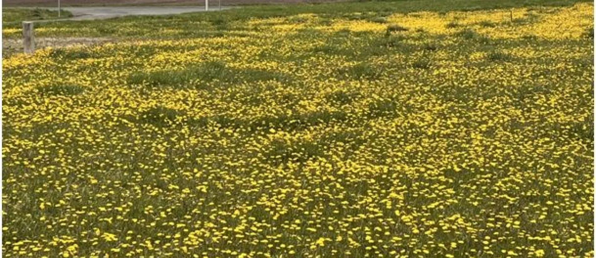 Maison de  89.73 m² sur un terrain de 895 m² à ANGOULEME en CHARENTE (16).
