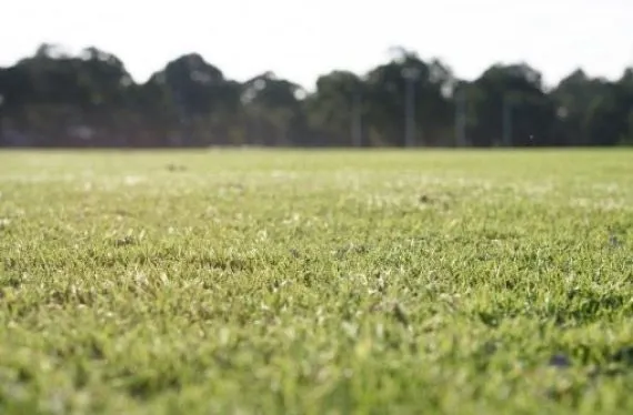 Terrain à bâtir de 3117 m2 au prix de 29500 € à SAINT-LOUP-LAMAIRE (79)