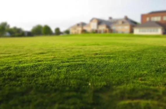 Terrain à bâtir de 325 m2 au prix de 46800 € à SURGERES (17)