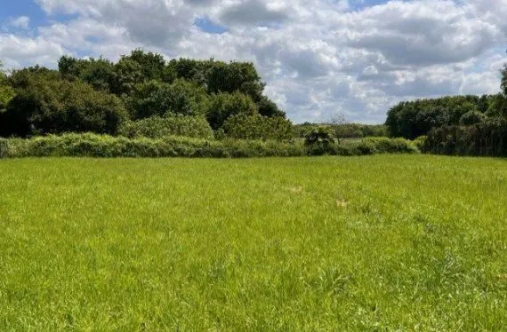 Terrain à bâtir de 780 m2 au prix de 27000 € à LA PLAINE (49)