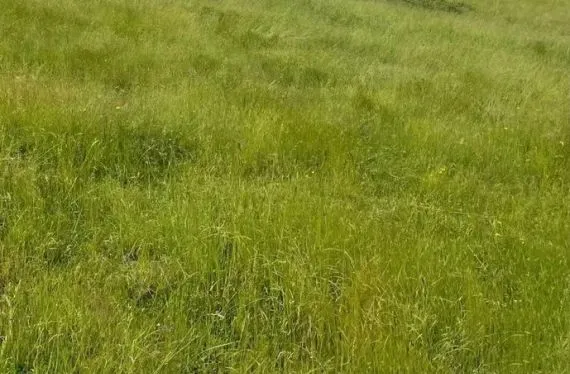 Terrain à bâtir de 1640 m2 au prix de 36000 € à VIX (85)