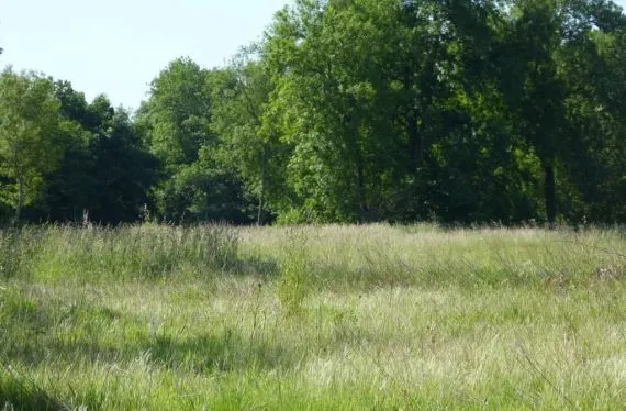 Terrain à bâtir de 351 m2 au prix de 56640 € à SURGERES (17)