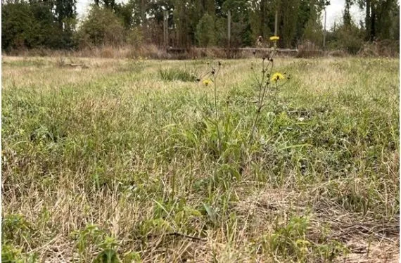 Terrain à bâtir de 2235 m2 au prix de 55000 € à AGRIS (16)