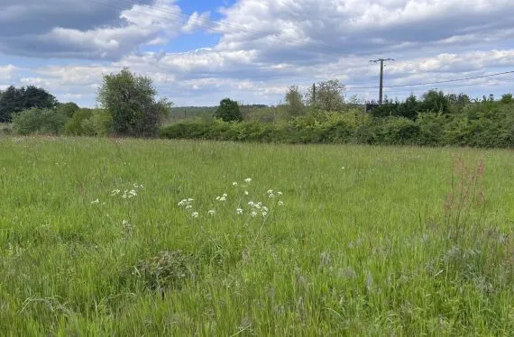 Terrain à bâtir de 1300 m2 au prix de 18000 € à SAINT-GERMAIN-DE-MONTBRON (16)