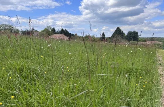 Terrain à bâtir de 2630 m2 au prix de 36000 € à SAINT-GERMAIN-DE-MONTBRON (16)