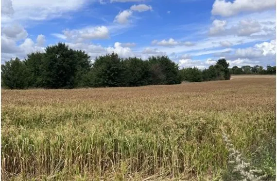 Terrain à bâtir de 427 m2 au prix de 37000 € à GOND-PONTOUVRE (16)