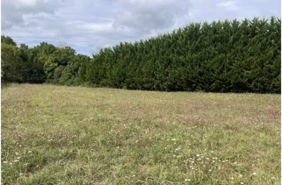 Terrain à bâtir de 2175 m2 au prix de 40000 € à MAINE-DE-BOIXE (16)