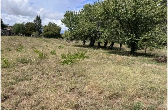 Terrain à bâtir de 2915 m2 au prix de 25000 € à SAINT-MARTIN-DU-CLOCHER (16)