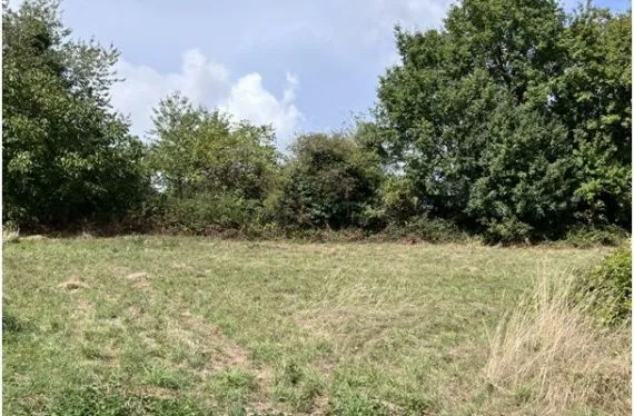 Terrain à bâtir de 1200 m2 au prix de 21000 € à BERNAC (16)