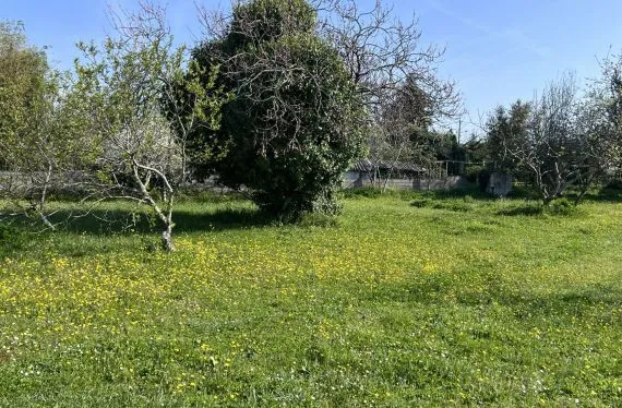 Terrain à bâtir de 439 m2 au prix de 65000 € à SOYAUX (16)