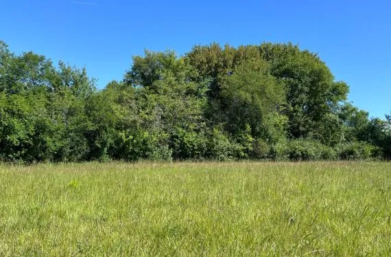 Terrain à bâtir de 700 m2 au prix de 46000 € à GOND-PONTOUVRE (16)