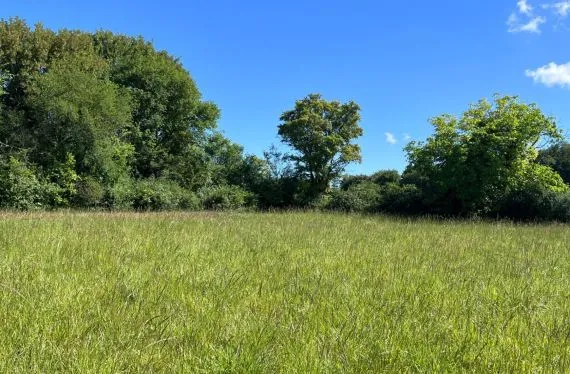 Terrain à bâtir de 947 m2 au prix de 66000 € à GOND-PONTOUVRE (16)