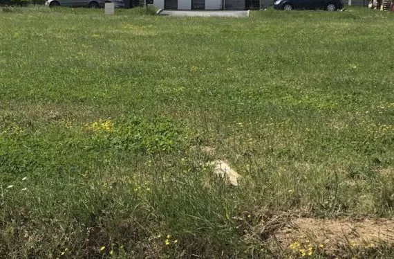 Terrain à bâtir de 733 m2 au prix de 25655 € à MOUILLERON-EN-PAREDS (85)