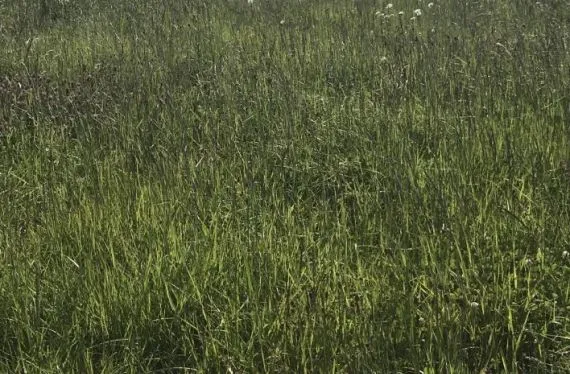 Terrain à bâtir de 770 m2 au prix de 13860 € à SAINT-CYR-DES-GATS (85)