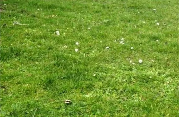 Terrain à bâtir de 601 m2 au prix de 15626 € à PETOSSE (85)