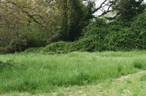 Terrain à bâtir de 480 m2 au prix de 51400 € à FLEAC (16)