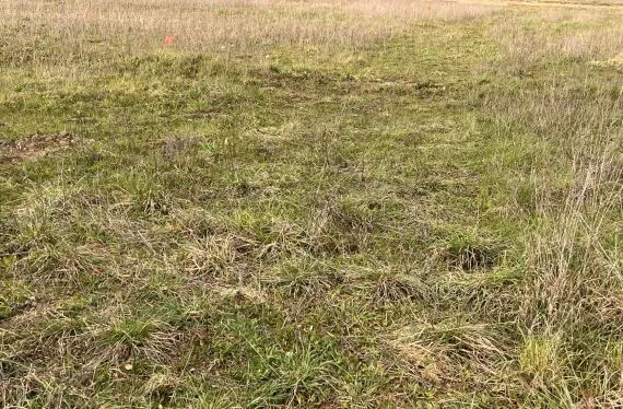 Terrain à bâtir de 928 m2 au prix de 43000 € à ANAIS (16)