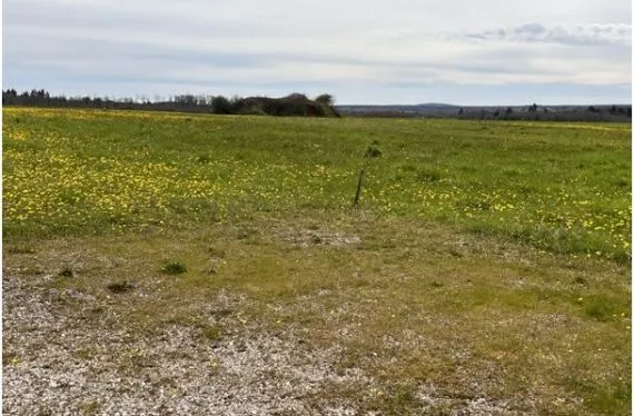 Terrain à bâtir de 921 m2 au prix de 31382 € à SAINT-ANGEAU (16)