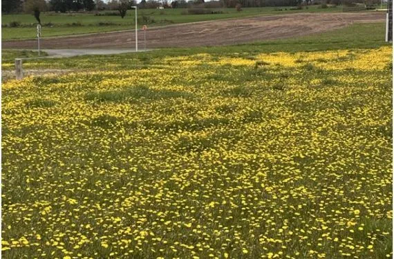 Terrain à bâtir de 895 m2 au prix de 30430 € à ANGOULEME (16)