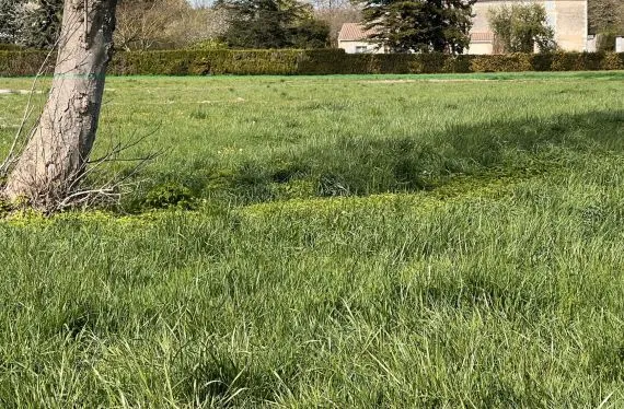 Terrain à bâtir de 854 m2 au prix de 42000 € à ANAIS (16)