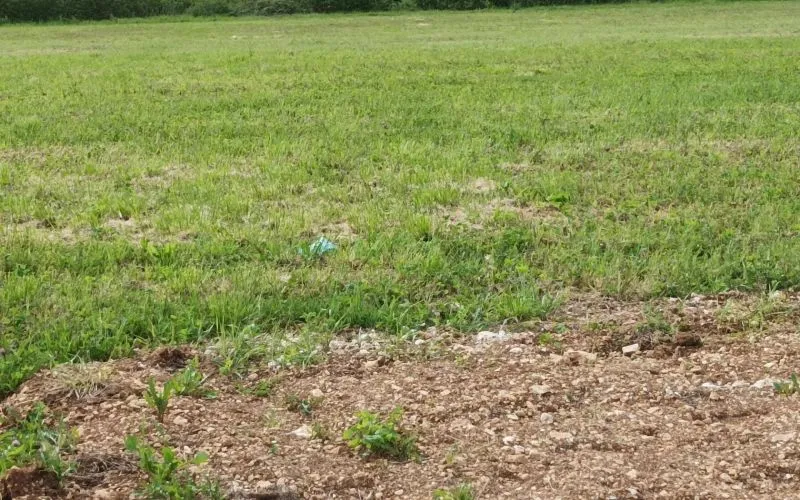 Terrain à bâtir de 480 m2 au prix de 35800 € à SAINT-SATURNIN (16)