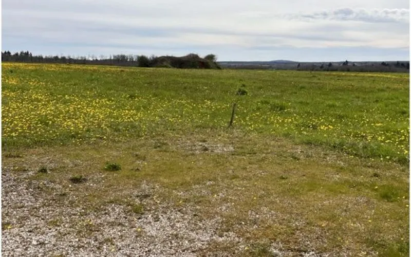 Terrain à bâtir de 921 m2 au prix de 31382 € à SAINT-ANGEAU (16)